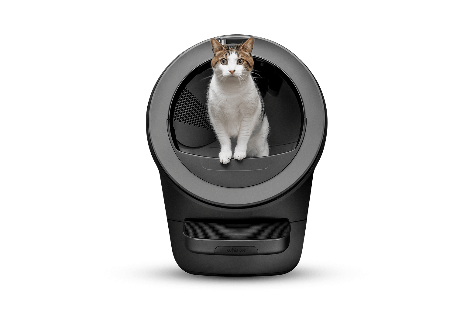 Litter-Robot 5 automatic self-cleaning litter box with real cat — WasteID tech, 10-day drawer, fits up to 5 cats