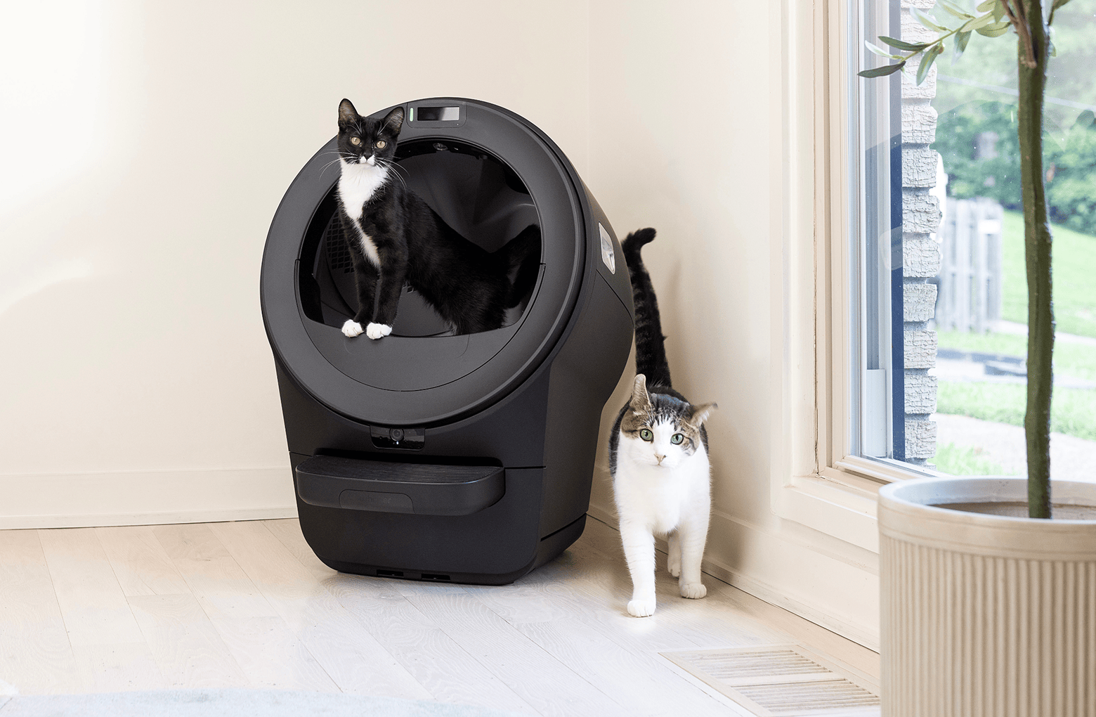 Litter-Robot 5 Pro review