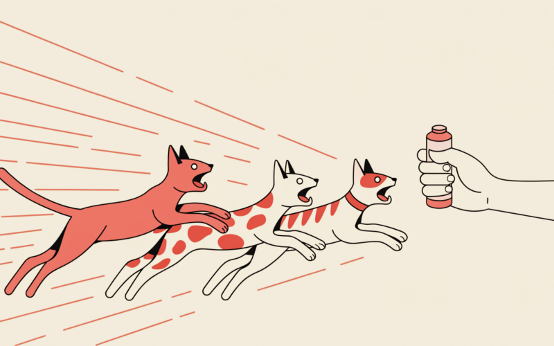 best cat treats for training