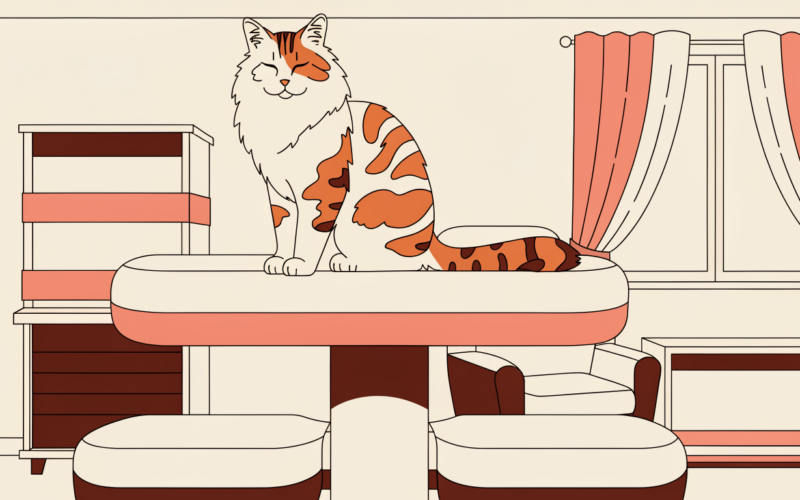 best cat tree for large cats