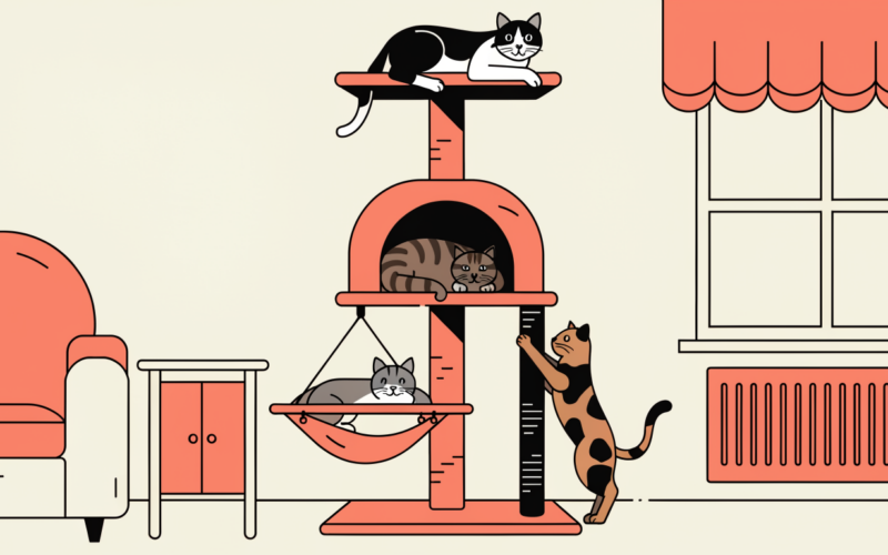 cat tree buying guide